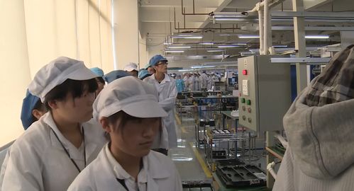 90后电子厂打工真实记录 只有像机器人一样活着才不会累